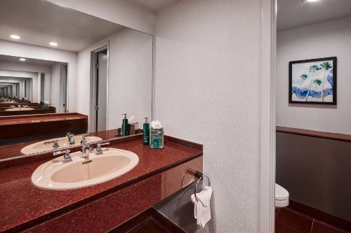 DoubleTree by Hilton Anaheim/Orange County - image 27