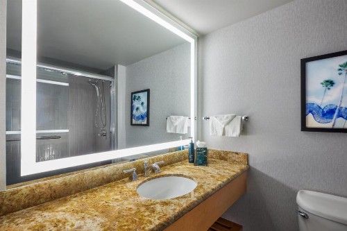 DoubleTree by Hilton Anaheim/Orange County - image 38
