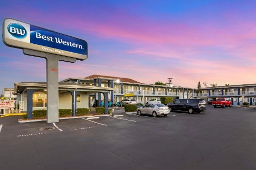 Best Western Orange Plaza - image 20