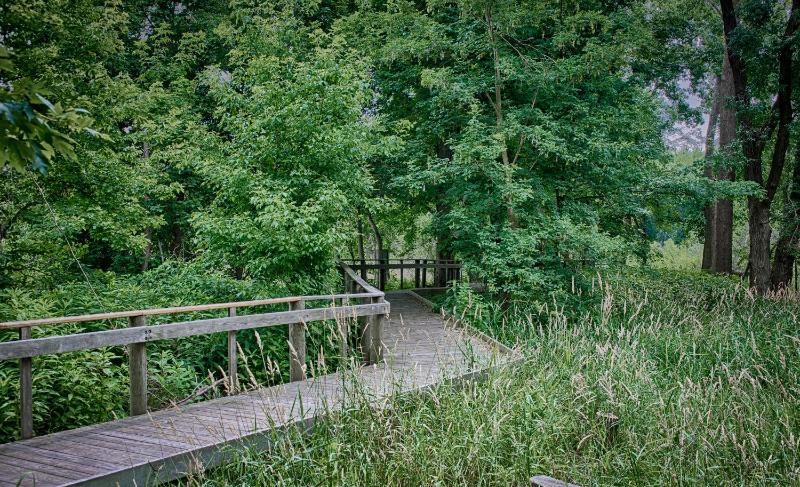Maumee Bay State Park Lodge - image 6