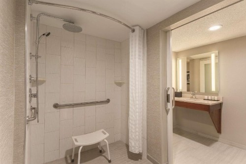 Embassy Suites by Hilton Orlando International Drive ICON Park - image 19