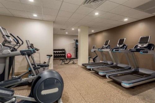 Embassy Suites by Hilton Orlando International Drive ICON Park - image 21