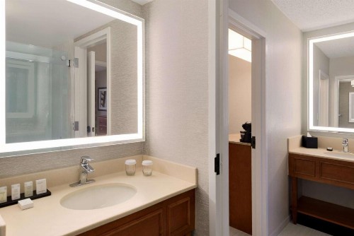 Embassy Suites by Hilton Orlando International Drive ICON Park - image 24