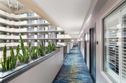 Embassy Suites Orlando - Airport - image 10