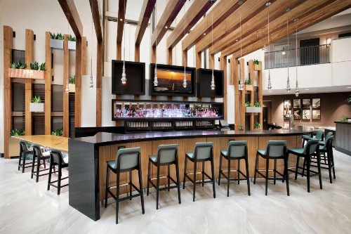 Embassy Suites Orlando - Airport - image 20