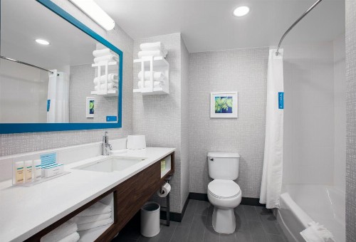 Hampton Inn Lake Buena Vista / Orlando - image 26