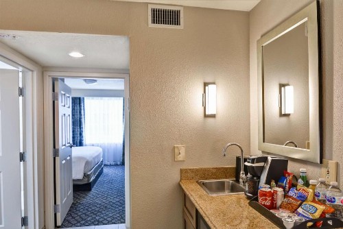 Embassy Suites Orlando Downtown - image 32