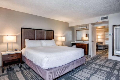 Embassy Suites by Hilton Orlando International Drive Convention Center - image 16