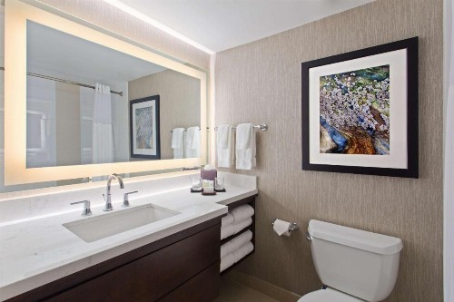 Embassy Suites by Hilton Orlando International Drive Convention Center - image 23