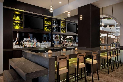 Embassy Suites by Hilton Orlando International Drive Convention Center - image 27
