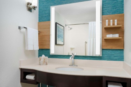 Hilton Garden Inn Orlando at SeaWorld - image 13