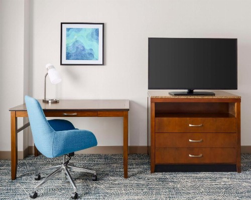 Hilton Garden Inn Orlando at SeaWorld - image 15
