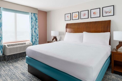 Hilton Garden Inn Orlando at SeaWorld - image 16