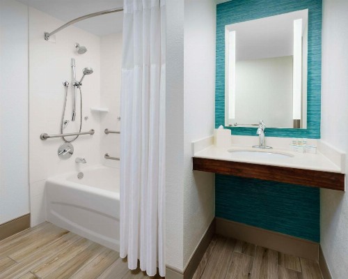 Hilton Garden Inn Orlando at SeaWorld - image 17