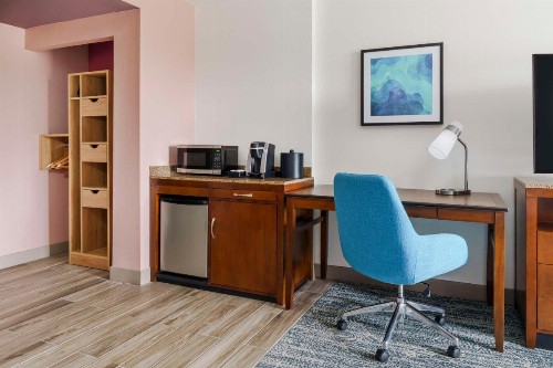 Hilton Garden Inn Orlando at SeaWorld - image 22