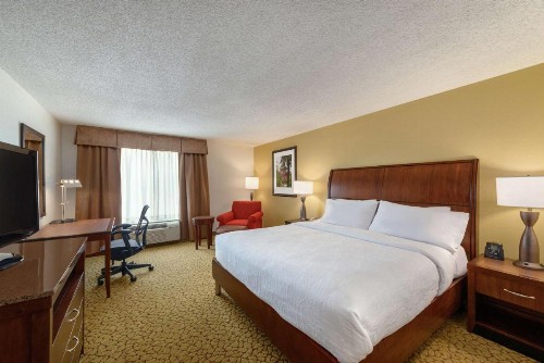 Hilton Garden Inn Orlando East - UCF Area - image 23