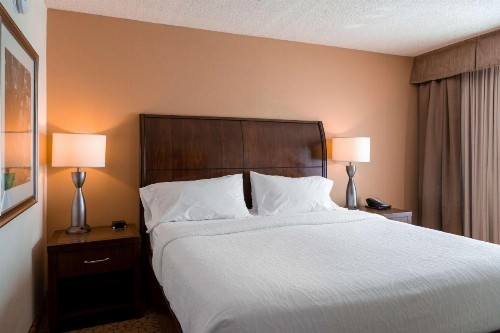 Hilton Garden Inn Orlando East - UCF Area - image 7