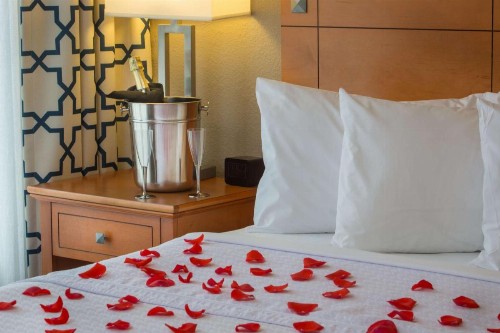 Homewood Suites by Hilton Orlando-Intl Drive/Convention Ctr - image 21