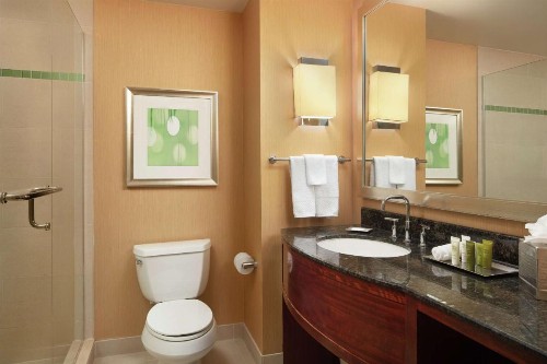 Hilton Orlando - image 24