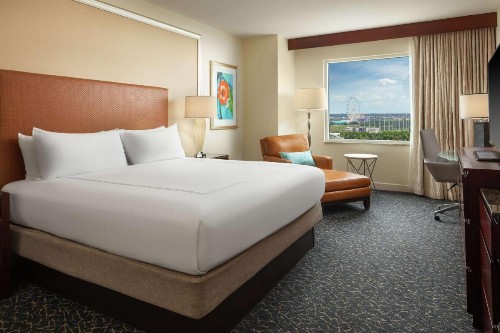 Hilton Orlando - image 26