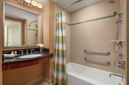 Hilton Orlando - image 29