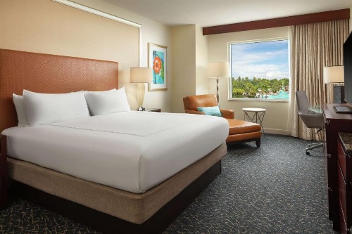 Hilton Orlando - image 31