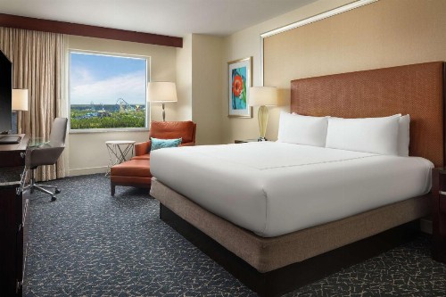 Hilton Orlando - image 34