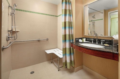 Hilton Orlando - image 40