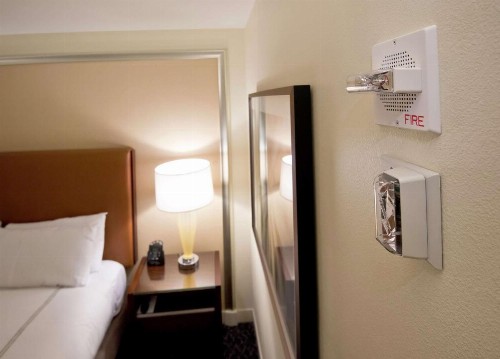 Hilton Orlando - image 41