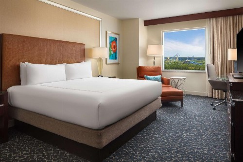 Hilton Orlando - image 47
