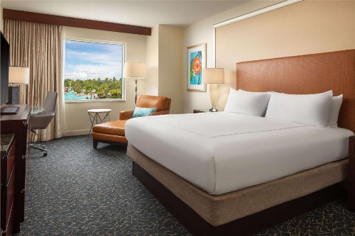 Hilton Orlando - image 49