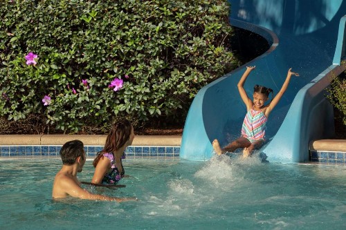 Hilton Orlando - image 6