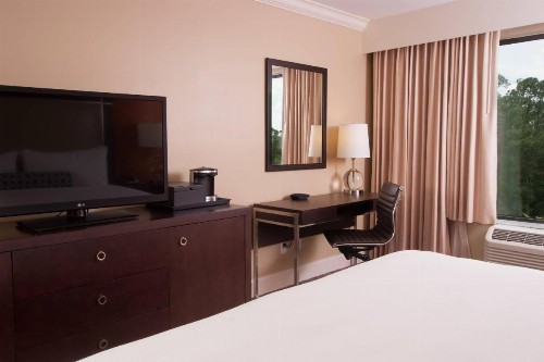 Delta Hotels by Marriott Orlando Lake Buena Vista - image 14