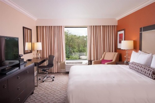 Delta Hotels by Marriott Orlando Lake Buena Vista - image 26