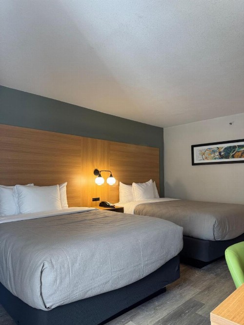 Red Roof Inn PLUS+ Orlando - Convention Center / Int'l Dr - image 13