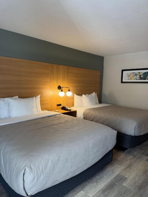 Red Roof Inn PLUS+ Orlando - Convention Center / Int'l Dr - image 17