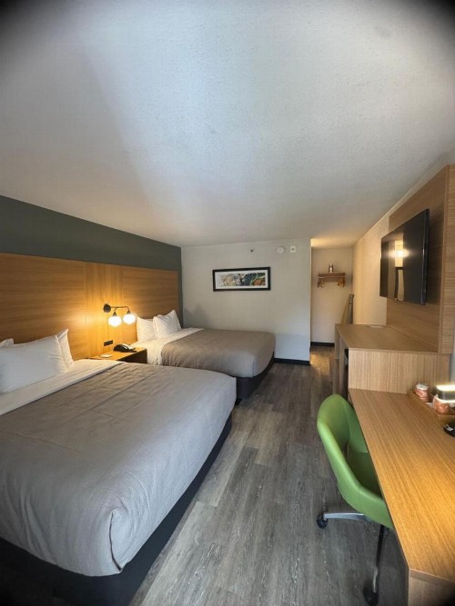 Red Roof Inn PLUS+ Orlando - Convention Center / Int'l Dr - image 22