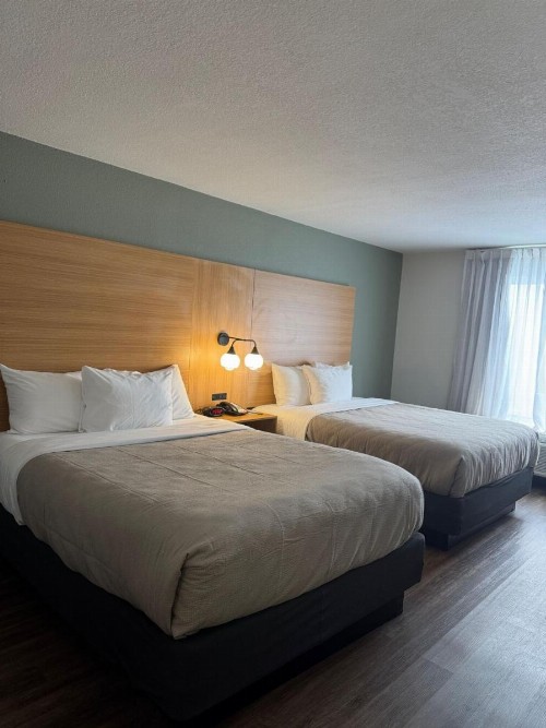 Red Roof Inn PLUS+ Orlando - Convention Center / Int'l Dr - image 27