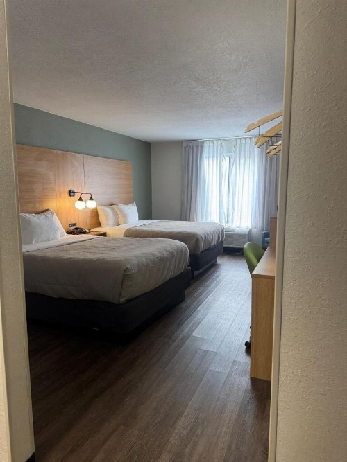 Red Roof Inn PLUS+ Orlando - Convention Center / Int'l Dr - image 29