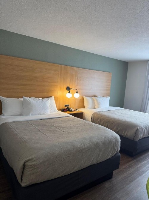 Red Roof Inn PLUS+ Orlando - Convention Center / Int'l Dr - image 33