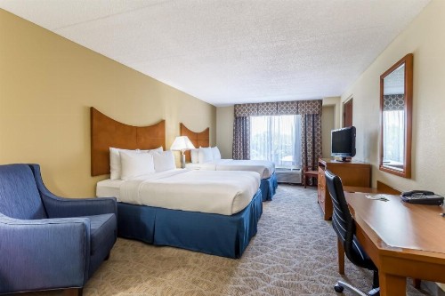 Wingate by Wyndham - Universal Studios and Convention Center - image 25