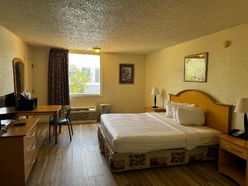 Monumental Movieland Hotel - image 12