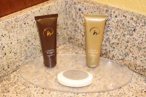 Rosen Inn International Near The Parks - image 22