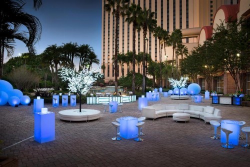 Rosen Centre Hotel Orlando Convention Center - image 2
