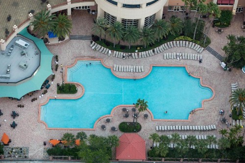 Rosen Centre Hotel Orlando Convention Center - image 20