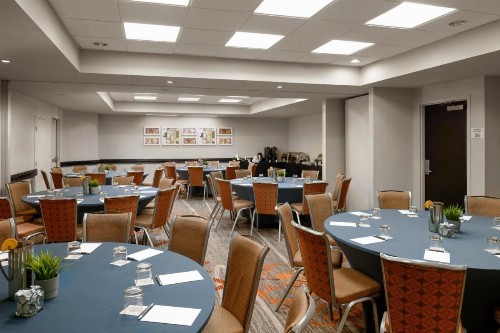 Sheraton Suites Orlando Airport Hotel - image 2