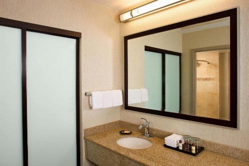 Sheraton Suites Orlando Airport Hotel - image 37