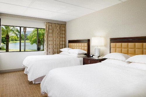 Sheraton Suites Orlando Airport Hotel - image 41