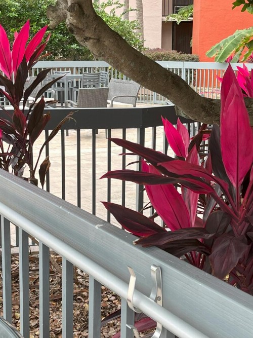 Grand Hotel Orlando at Universal Blvd - image 19