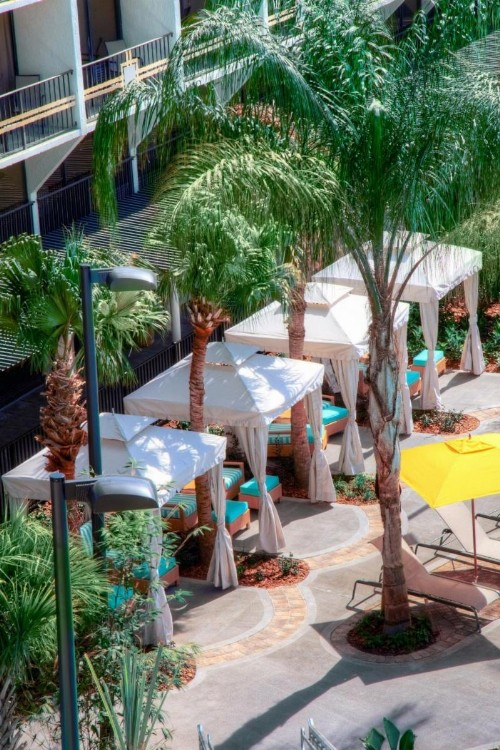 Sheraton Orlando Lake Buena Vista Resort Near Disney Springs - image 30
